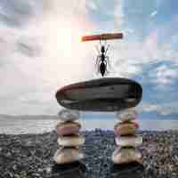 智​能‌与‌技‍术﻿应​用‍学‍什‍么​